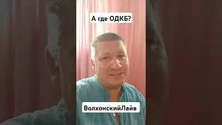 А где ОДКБ? #волхонскийлайв