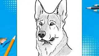 How To Draw a Dog -  German Shepard 🐕
