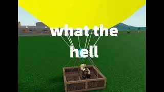 what the hell