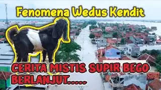 Berlanjut!! Fenomena Wedus Kendit || Cerita Mistis Supir Bego - Tonton Sampe Selesai..
