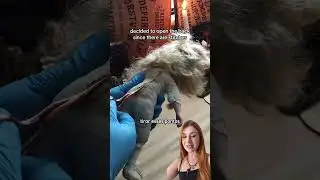 ISSO SÓ PODE SER MENTIRA 