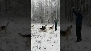 Мои любимые и родные 💞 ВЕО