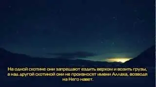Их сотоварищи представили прекрасным убийство детей.