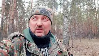 Копаем монеты в лесу.  Серебро . Часть 2.