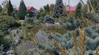 ✅Сад о котором мечтают многие