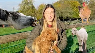 Herbstausflug auf den Bauernhof // MIT PICO UND RUBI