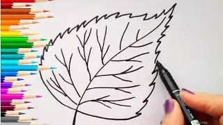ЛИСТ БЕРЕЗЫ / раскраска БЕРЕЗОВЫЙ ЛИСТ / Нарисуй Ка