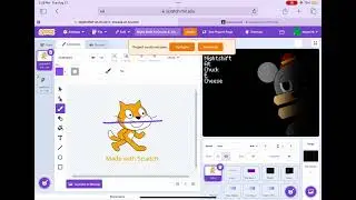 Scratch?? What is this??