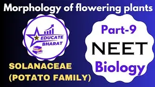 SOLANACEAE (POTATO FAMILY) | Morphology Of Flowering plants | Part 9 | Saumya Maurya MBBS BHU