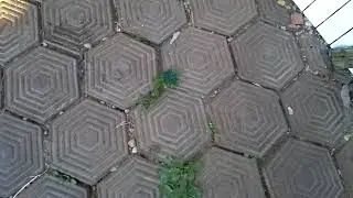 2017 09 24 2793 кася+злата