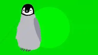 green screen PENGUIN Rotations  HD screen animation effects