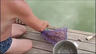 Приманка для рыбы