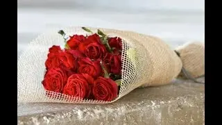Всреча в вечернем клубе в 17 00