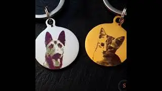 Dierenpenning titanium met foto -Sama24.nl