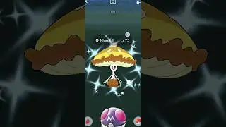 When I Got✨Shiny Shinotic in 