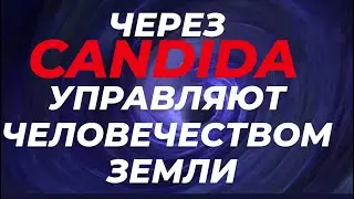 Грибы захватывают Сознание и Душу всех живых