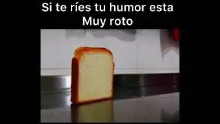 Si te ríes tu humor está muy roto 😂😂😂 (Enlace del video original en la desc)