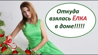 Откуда взялась ЕЛКА. Английский язык.