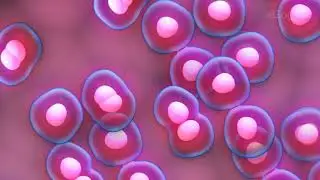 What is CANCER ?