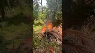 Foreigner catches jungle on fire 🔥 #filamcouple #philippines #foreignlife