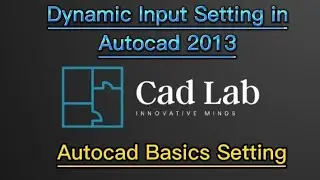 Dynamic input setting in autocad 2013