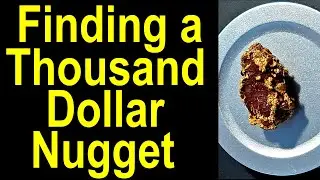 Found a $1,000 gold nugget while I was metal detecting for big gold on my new nugget patch