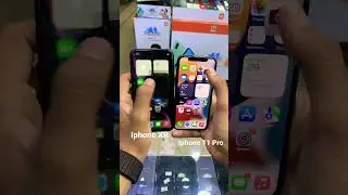 Iphone XR Camera Vs Iphone 11 Pro Camera Test 