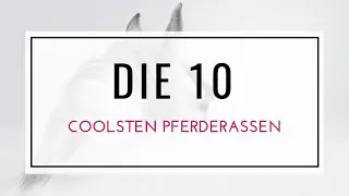 DIE 10 coolsten Pferderassen
