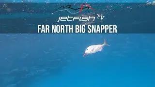 How to catch BIG SNAPPER in the Far North of New Zealand