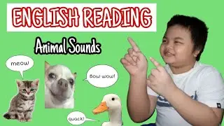 Animals Sounds | English Reading | My Online School Journey