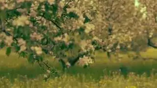 "Лаборатория Эмоций", Love Story, © "АРТказак".