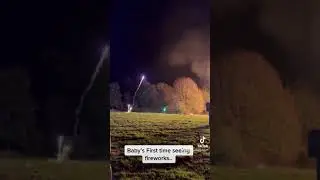 Little girls reaction to seeing fireworks for the first time