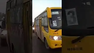 Самый страшно-опасный обочечник!