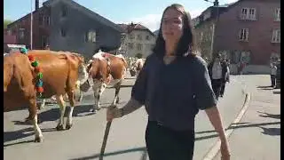 La saison des montées à l’alpage est commencée !