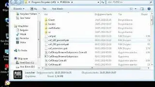 pubg lite hatası çözüldü!! (known issues with graphics driver hatası)