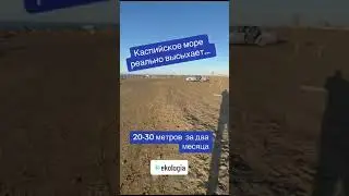 Как мелеет Каспий!