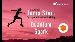Check Point Jump Start: Quantum Spark – 13- SSL Inspection by asset type