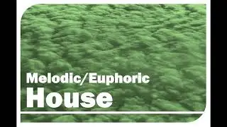 Melodic/Euphoric House