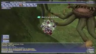 FFXI Voluptuous Vivian Solo
