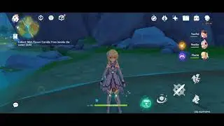 Texture rendering error in Genshin Impact