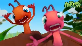 Meatball | Antiks 🐜 | Funny Cartoons for Kids