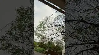 Their Here
