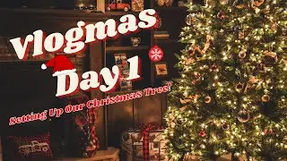 Putting Up Our Christmas Tree + #Vlogmas Day 1 🎄#Christmas2021