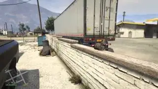 GTA V  Scaring a Cat ORIGINAL