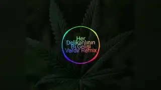 HER DELİKANLININ Bİ GELİŞİ VARDIR