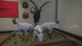 My Last Video on PS4 befor i UPGRADE to PS5!!|theHunter COTW