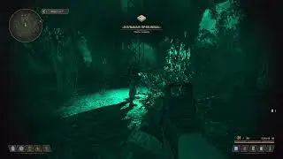 НАПАЛА ХИМЕРА! -  True Stalker #truestalker #stalker2 #stalkergame