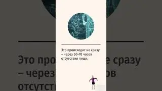 Разовое голодание не переключает организм