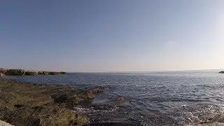 Кефаль в мутняке, сентябрь 2017