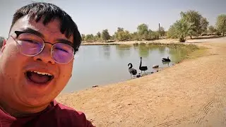 Have You Seen DUBAI'S HIDDEN GEM? | ADVENTURE In Al QUDRA Lakes!